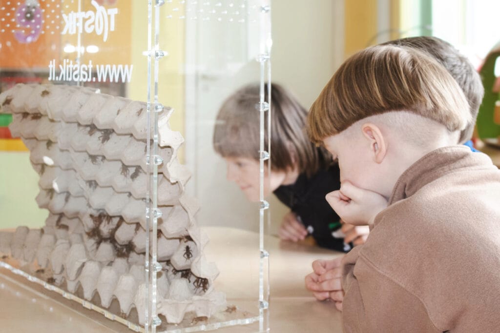 Svirpliu edukacija darzelyje_1