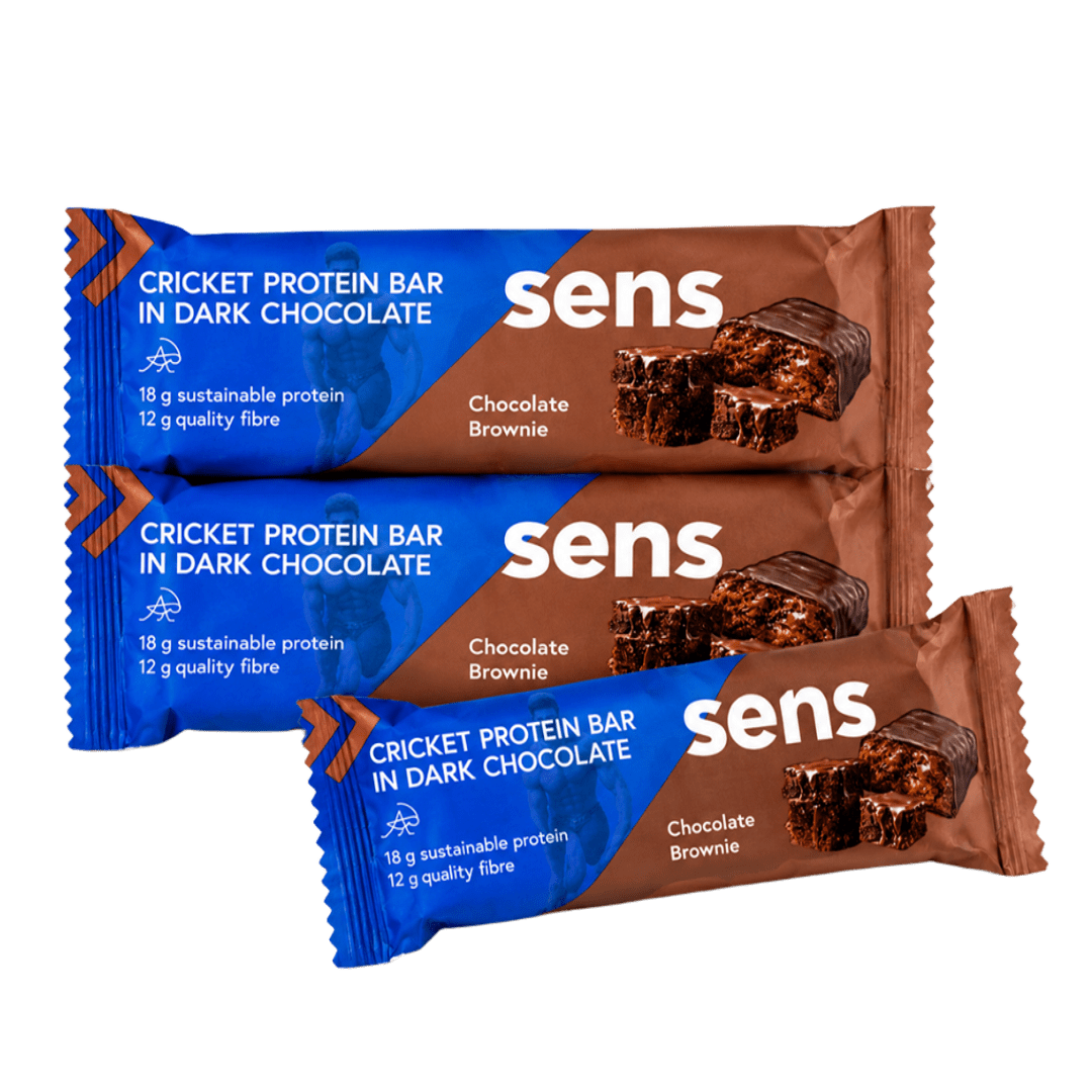 TASTIK protein bar Brownie